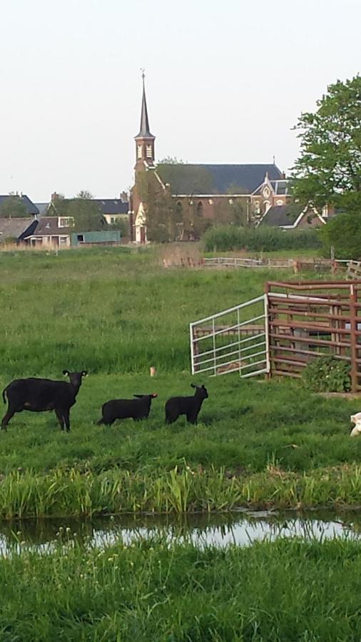 Het Kraaienbosch Bed and Breakfast Zegveld Eksteriør billede